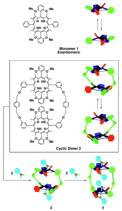 Schematic structures of 1 and 2, and a proposed mechanism for the stepwise binding of mandelic acid with cyclic dimer 2.