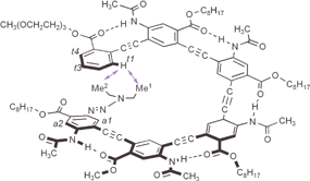 End-to-end NOE contacts between proton t1 and the methyl protons Me1 and Me2 of hexamer 6 as revealed by NOESY (8 mM in CDCl3, 500 MHz, 263 K, mixing time: 0.3 s).20