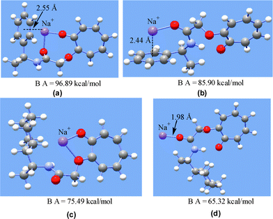 HF/3-21G* optimized structures of Na+ bound 1a (a and b) and 1c (c and d). Binding affinities are included at the bottom of each structure.