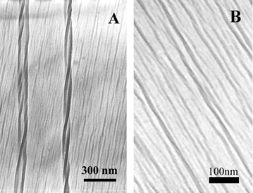 TEM of PDA films in situ polymerized on pure water (negative staining with uranyl acetate was performed to enhance the image quality).