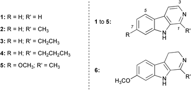 The β-carbolines.