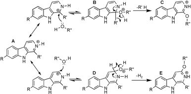 Proposed mechanism of nucleophilic substitution.