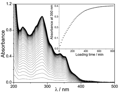 UV–vis absorption spectra of 1 in Nafion at various times (15–810 min) after immersion into an acetonitrile solution of 1 (3 × 10−5 mol dm−3). The spectra represent the difference between the spectra recorded immediately after introducing the film into the solution and those recorded at later times. Inset: absorbance at 350 nm as a function of loading times.