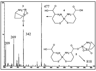 A representative ESI-MS of a solution containing BSS and HCYS.