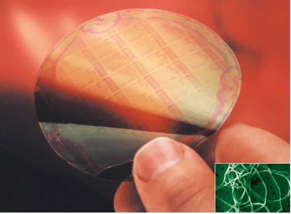  A flexible, semitransparent plastic chip using conducting polyaniline and containing a 27 millimetre integrated circuit which still operates when sharply bent (Philips Research). (inset) A polyaniline fibre with an average diameter of 139 nanometres.