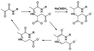 ADC mechanism.