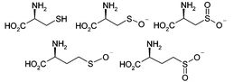 Oxidation of cysteine leads to observed bound species.