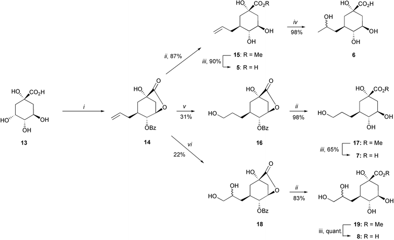 
            Reagents and conditions: (i) ref. 13; (ii) MeOH, NaOMe, RT; (iii) 1. NaOH, H2O, RT, 2. Dowex 50 (H+); (iv) HCl, H2O, Δ; (v) 1. BH3–THF, THF, 0 °C, 2. NaBO3, H2O, 0 °C; (vi) OsO4
(cat), NMO, acetone–H2O (1 : 1), RT.