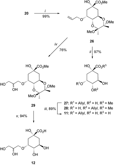 
            Reagents and conditions: (i) CH2CHCH2OCO2Me, Pd2(dba)2, dppb, THF, Δ; (ii) TFA–H2O (20 : 1); (iii) 1. LiOH, H2O, RT, 2. Amberlite IR-120; (iv) OsO4(cat), NMO, dioxane–H2O, RT; (v) 1. TFA–H2O (20 : 1), RT, 2. LiOH, H2O, RT, 3. Amberlite IR-120.