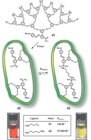 Schematic representation of monomolecular imprinting approach using dendron 41 with azodye at focal point.62 Conversion of 41 to bis-imine of butane-1,4-diamine, RCM reaction, and imine hydrolysis produces MID 42. MID 42 binds diamines by two point binding (see complex 43) which causes the visible colour change shown.