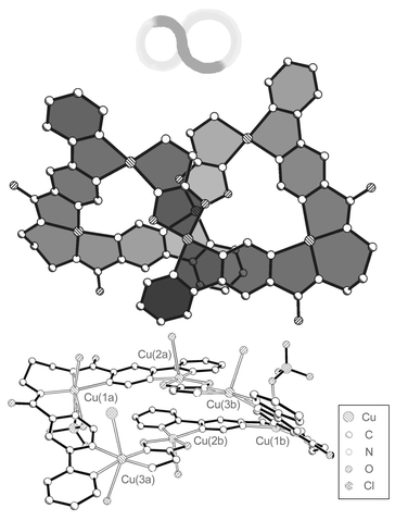 Top: Illustration of the figure-of-eight strip topology of the complex cation of 1
					(weakly bound axial ligands omitted for clarity). Bottom: Structure of the [(L2-2H)2Cu6(GHA-2H)2(OH)0.5(ClO4)1.5(Cl,ClO4)(H2O)4.32] cation of 1 including axial ligands.