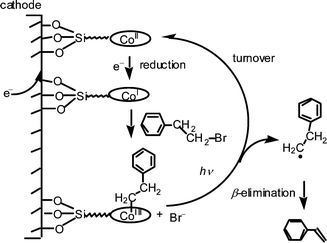 Proposed mechanism for the electrolysis of phenethyl bromide catalyzed by a vitamin B12 modified electrode.