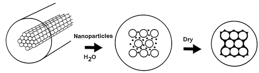 The mineralisation of the bacterial superstructure using inorganic nanoparticles and reversible swelling.