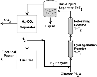 Schematic representation of the recycle loop for generation of hydrogen by aqueous-phase reforming of glucose.