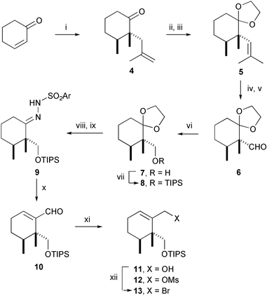 
          Reagents and conditions: i, Ref. 6; ii, 2-ethyl-2-methyl-1,3-dioxolane, (CH2OH)2, p-TsOH (0.2 equiv.), rt, 72 h, 75%; iii, p-TsOH (0.05 equiv.), benzene, 50 °C, 12 h, 57%; iv, K2OsO4
					(0.05 equiv.), K2Fe(CN)4, K2CO3, quinolidine, MeSO2NH2, t-BuOH–H2O, rt, 48 h, 90%; v, NaIO4, THF, H2O, rt, 12 h, 100%; vi, NaBH4, THF–H2O, rt, 12 h; vii, TIPSOTf, 2,6-lutidine, CH2Cl2, −78 °C to 0 °C, 4 h, 93%; viii, PPTS (0.3 equiv.), 10% aq. acetone, 60 °C, 4 h, 85%; ix, 2,4,6-triisopropylbenzenesulfonylhydrazine, THF, rt, 12 h, 100%; x, tert-BuLi, 10% TMEDA–hexanes, −78 °C, 30 min, then 0 °C, 1 min, then −78 °C, DMF, −78 °C to 0 °C, 4 h; xi, DIBALH, CH2Cl2, −78 °C to 0 °C, 4 h, 75% from 9; xii, Ms2O, Et3N, CH2Cl2, −78 °C to 0 °C, 2 h, then LiBr, THF, rt, 12 h, 95%.