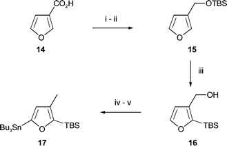 
          Reagents and conditions: i, BH3·Me2S, THF, rt, 12 h, 85%; ii, TBSCl, imidazole, CH2Cl2, rt, 2 h, 100%; iii, n-BuLi, HMPA–THF, −78 °C to rt, 6 h, 89%; iv, Ms2O, Et3N, CH2Cl2, −78 °C to 0 °C, 2 h, then LiEt3BH, THF, 0 °C, 100%; v, n-BuLi, THF, −78 °C to 0 °C, 6 h, then n-Bu3SnCl, −78 °C to rt, 12 h, 85%.