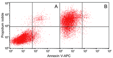 Flow cytometry analysis of 3T3 cells incubated with CNT 1 at 5 (A) and 10 (B)
					µM concentration, respectively. After incubation of 60 min and washings, the cells were analysed after an additional 60 min. For each independent experiment cells were stained with propidium iodide and annexin V-APC.