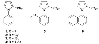 A novel ligand family: PAP ligands.