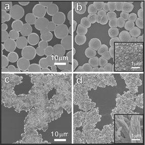 Scanning electron micrographs of two metastable CaCO3 polymorphs formed at the air/water interface from supersaturated calcium bicarbonate solutions in the presence of PEI25000
					(‘a’ and ‘b’) and PEI2000
					(‘c’ and ‘d’): ‘a’ and ‘c’ are air-side views and ‘b’ and ‘d’ are water-side views. Insets are magnified, water-side images.