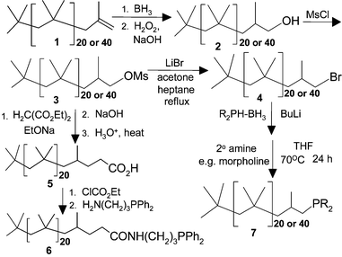 Synthesis routes to terminally functionalized polyisobutylene oligomers containing ligands and catalysts.