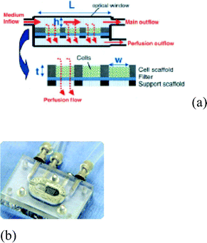 (a) Schematic of scaffold and reactor housing.41
						(b) The silicon microfluidic chip in a polycarbonate housing [www.easternplastics.com].