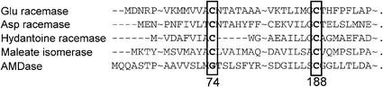 Amino acid homology between some racemases and AMDase.