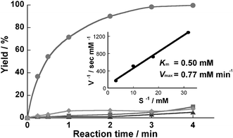 Hydrolysis of GPNA in a microreactor. A 1 mM solution of substrate in Tris buffer was charged into a microreactor which was prepared using both PA and GA (●), GA only (▲), and PA only (■) as cross-linker, at 37 °C. Product was analyzed by RP-HPLC. When the microreactor prepared normally was treated with PBS solution containing 0.1 mM phenylmethanesulfonyl fluoride which irreversibly inhibits chymotrypsin, the protease activity of the microreactor decreased markedly (♦). A Lineweaver–Burke plot was built from the kinetic data of the microreactor prepared using both PA and GA.