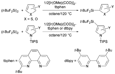 C–H silylation of five-membered heteroarenes.