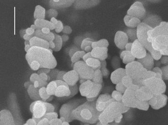 Commercial AW2 barite powder from Viaton Industries. Scale = 1 µm.56