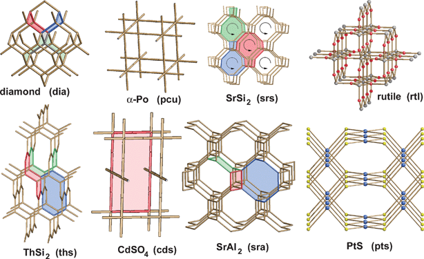 The most frequent topologies observed within the 301 interpenetrated structures; some of the rings characterizing each topology are indicated in colour.27