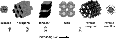 Schematic representation of surfactant microstructures.8