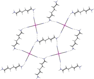 The 2-D sheet motif found in [4,4′-H2bipip][PtCl4] showing the pores created in the network.29