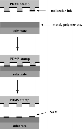 Schematic illustration of procedures of the microcontact printing process.