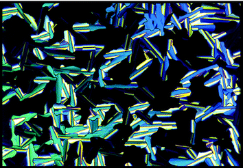 The homeotropic and rectilinear defect textures of the hexagonal columnar phase of supermolecule 6 (×100).