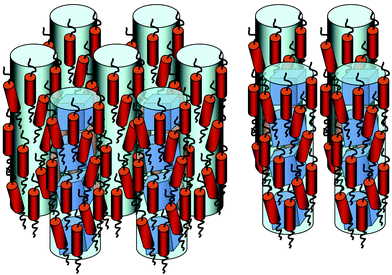 Schematic structures of the hexagonal tubular nematic (left) and rectangular tubular nematic (right) phases. The mesogenic groups are roughly parallel to the columns but their positions are disordered. Thus the columns effectively act as the directors of the nematic phase.