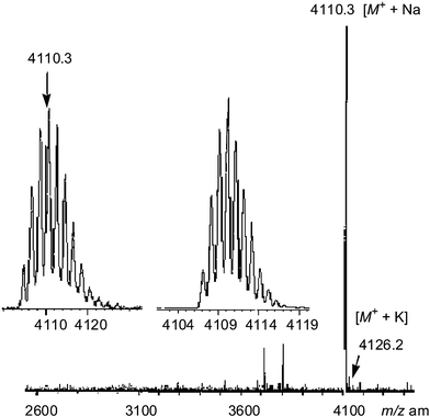 MALDI-TOF spectra for compound 13; (a) the full spectral details, (b) the predicted isotopic distribution for the mass ion, and (c) measured isotopic distribution.