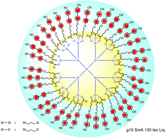 Example of a typical liquid crystal dendrimer with its mesogenic units covalently attached to the outer surface of a flexible scaffold.9