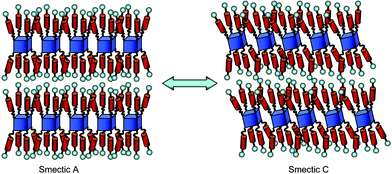 The structures and phase transition for the smectic A and smectic C phases of multipede 1, where the spheres represent the terminal cyano moieties.