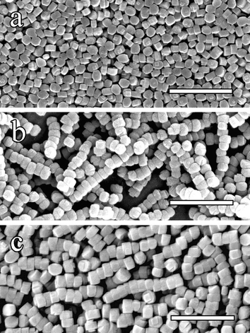 SEM images showing: (a) silicalite-1 nanocrystals prepared in the absence of PDAC, (b) PDAC-mediated silicalite chain superstructures, and (c) silicalite nanoparticle chains after calcination at 550 °C for 24 hours, followed by redispersion in ethanol (scale bars = 1 µm).