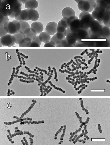 TEM images of samples taken after different hydrothermal periods: (a) 4 hr, showing disk-like silicalite particles and no chains; (b) 6 h, with initial chain formation, and (c) 15 h, mature chains. Scale bars (a) 500 nm; (b) and (c) 1 µm.