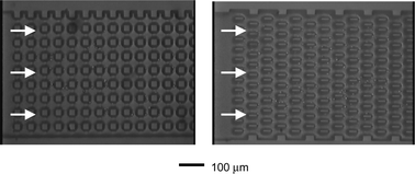 Microstructured flow channels (top views). Square (left) and Offset (right). The structures were fabricated with deep reactive ion etching (DRIE). These views of the microchannels are seen through the top coverglass. Downstream flow is in the left-to-right direction, and “height” is along the axis into the image. The depth of the channels was 40 µm.