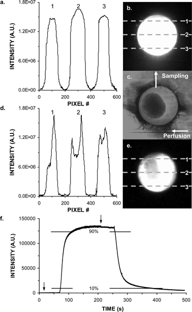 Images and analysis of solution replacement within the islet chamber. (a) Fluorescence intensity across a cell chamber perfused with 100 nM fluorescein at 1.5 µL min−1. Numbers correspond to the pixel row scanned. Lines correspond to different locations in chamber as depicted in the fluorescent image in (b). (c) Brightfield image of chamber containing an islet. Perfusion inlet channel, sample outlet channel, and fluid flow directions are marked. (d) Same as (a) except with an islet present in the chamber. Scan line positions are shown in fluorescent image in (e). (f) Fluorescence intensity detected in reaction channel as perfusion media switched from 0 nM to 250 nM to 0 nM fluorescein in BSS. Solution changes are marked with arrows. 10% and 90% of maximal intensity are marked with vertical bars.