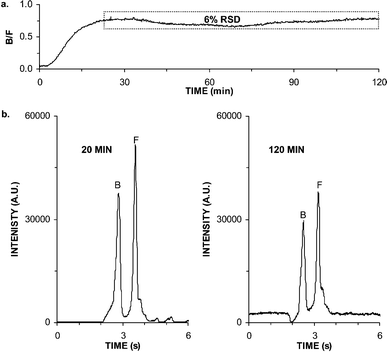 Stability for continuous operation. (a) Bound to free ratios (B/F) during a continuous 2 h perfusion of 50 nM insulin. Dashed box shows region used to calculate relative standard deviation (RSD). (b) Electropherograms collected during the experiments depicted in (a) at 20 min and 2 h. Peaks corresponding to free FITC-insulin (F) and bound to antibody (B) are marked.