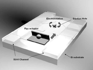 A schematic diagram for the integrated cell processor.