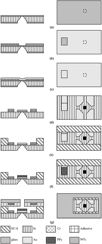 A schematic illustration of the process for the fabrication of the cell processor.