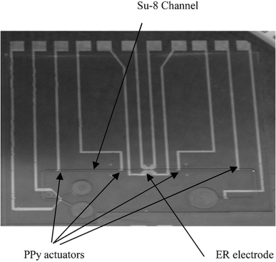 The fabricated cell processor.