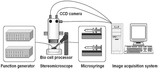 Experimental set-up.