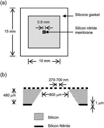 Schematics of chip and membrane layout. (a) Top view of chip and gasket assembly. (b) Cross section of the silicon nitride membrane after fabrication (not to scale).