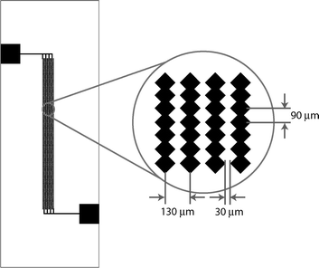 Details of the saw-tooth design for micro-electroporation.