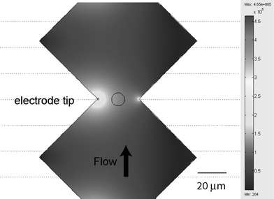 Peak to peak voltage (in V m−1) calculation in the micro-electroporation device.